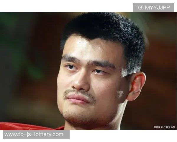 严益唯:姚明之问的“解药”在哪里? 严益唯:姚明之问的“解药”在哪里?